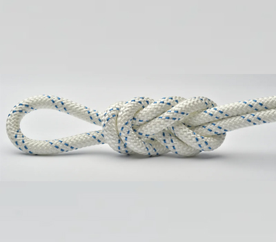 Specialists Services